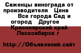 Саженцы винограда от производителя › Цена ­ 800 - Все города Сад и огород » Другое   . Красноярский край,Лесосибирск г.